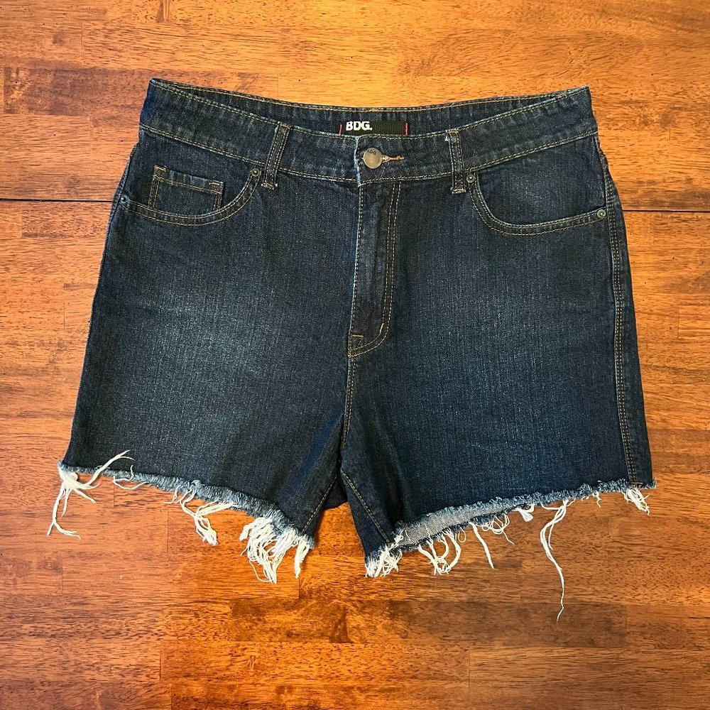 Urban Outfitters BDG High Rise Denim Shorts
